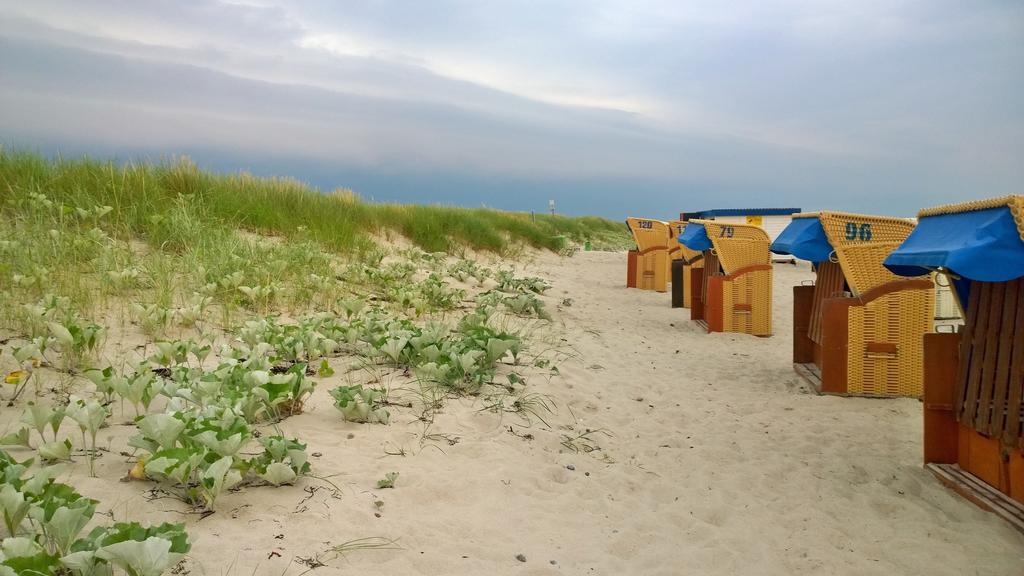 Ostsee Ferienappartement Dierhagen-Strand エクステリア 写真
