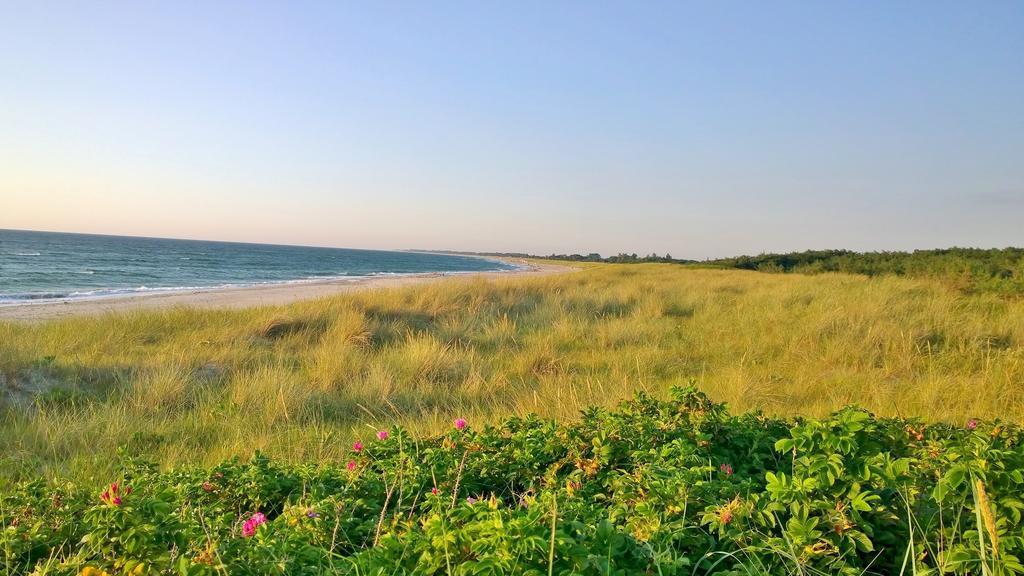 Ostsee Ferienappartement Dierhagen-Strand エクステリア 写真