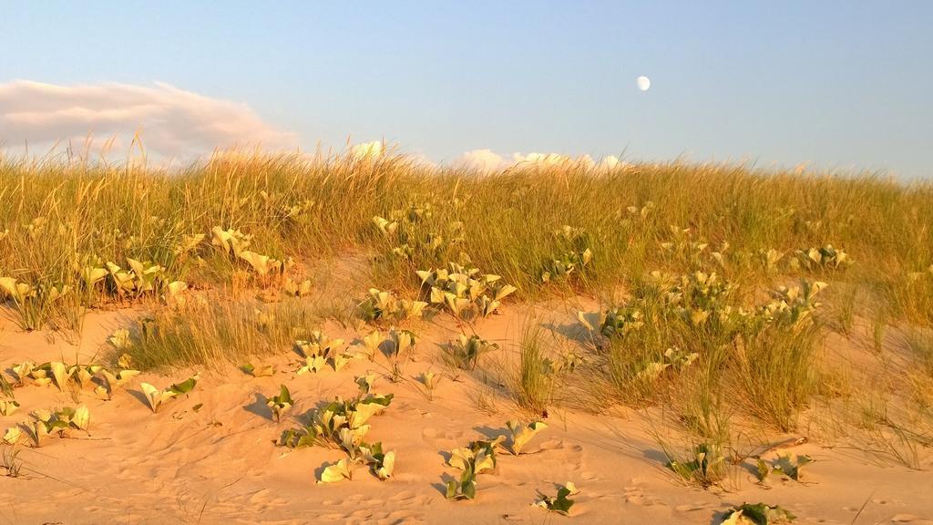 Ostsee Ferienappartement Dierhagen-Strand エクステリア 写真