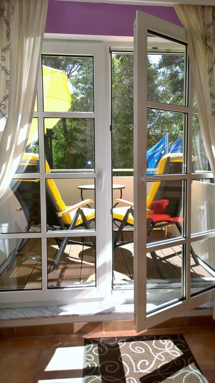 Ostsee Ferienappartement Dierhagen-Strand 部屋 写真