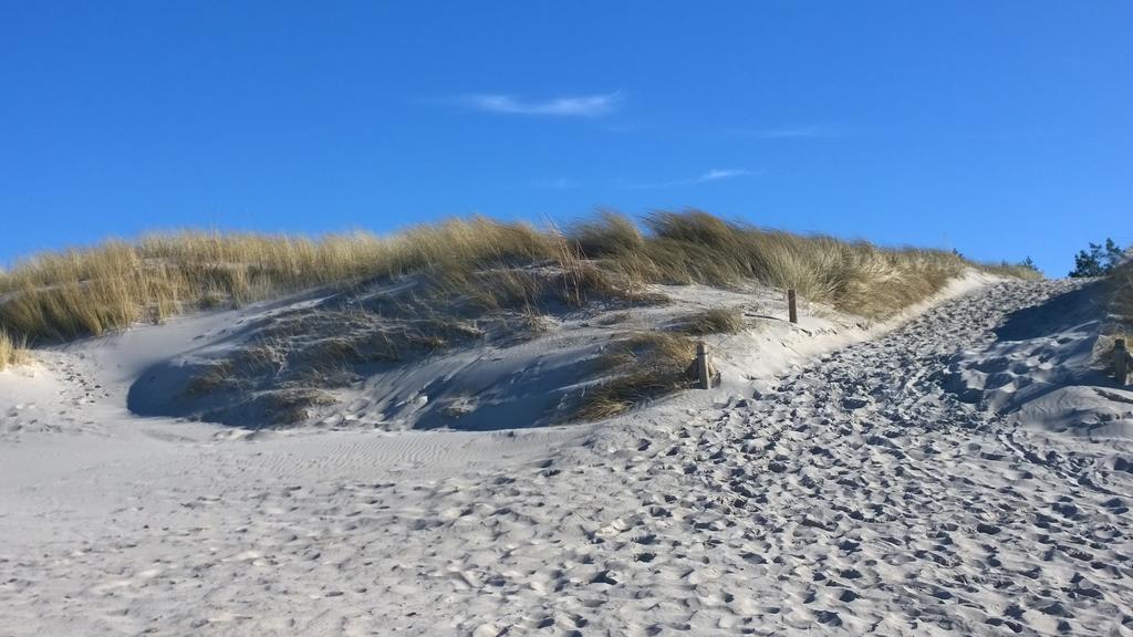 Ostsee Ferienappartement Dierhagen-Strand エクステリア 写真